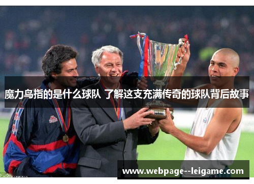 魔力鸟指的是什么球队 了解这支充满传奇的球队背后故事 魔力鸟指的是什么球队 了解这支充满传奇的球队背后故事